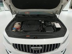 Geely Xingrui 2.0T Diesel Luxury - ფოტო 20