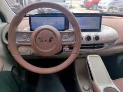 Wuling Binguo 333km Lingxi Premium Edition - ფოტო 10
