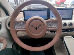 Wuling Binguo 333km Lingxi Premium Edition - ფოტო 11