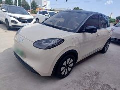Wuling Binguo 333km Lingxi Premium Edition - ფოტო 2