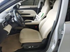 Wuling Binguo PLUS 2024 330km 5-Seater - ფოტო 15