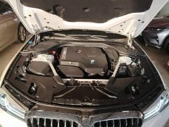 BMW 5 Series Facelift 530Li Leading Edition Luxury Package - ფოტო 16