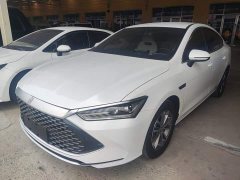 BYD Qin PLUS 2024 Glory Edition DM-i 55KM Leading - ფოტო 2