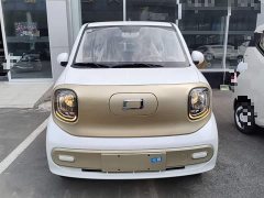 FAW Besturn Xiaoma 222km Colorful Edition - ფოტო 3