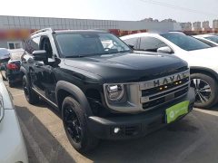 Great Wall Dachshund 2.0T DCT Chinese Rural Dog Edition - ფოტო 4