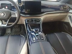BYD Qin Plus 2021 DM-i 55KM Flagship - ფოტო 13