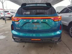 Haval Chitu 2021 Jiqing Edition 1.5T Golden Rabbit - ფოტო 6