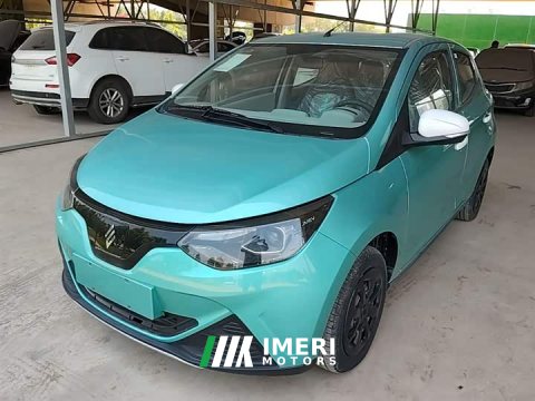 2024 Yizhi EV2 Auspicious Edition 201km Comfort - автомобиль из Китая