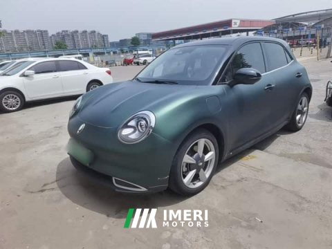2021 ORA Good Cat 400km Standard Range Athena Edition LFP Battery - ავტომობილი ჩინეთიდან
