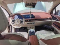 ORA Good Cat 400km Standard Range Athena Edition LFP Battery - ფოტო 10