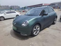 ORA Good Cat 400km Standard Range Athena Edition LFP Battery - ფოტო 2