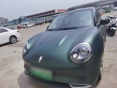 ORA Good Cat 400km Standard Range Athena Edition LFP Battery - ფოტო 3