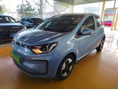 Flower Fairy 301km Clover 36kW - photo 2