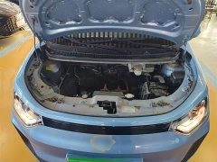 Flower Fairy 301km Clover 36kW - photo 20