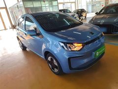 Flower Fairy 301km Clover 36kW - photo 4