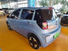 Flower Fairy 301km Clover 36kW - photo 5