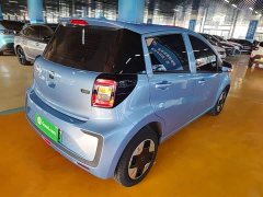 Flower Fairy 301km Clover 36kW - photo 7
