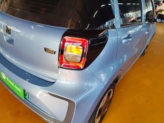 Flower Fairy 301km Clover 36kW - photo 8