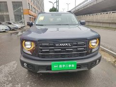Great Wall Dachshund 2024 1.5T DCT Border Collie Edition - ფოტო 3