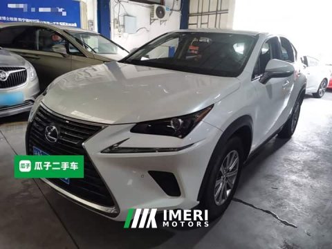 2021 Lexus NX 2020 200 FWD Sharp Edition National VI - ავტომობილი ჩინეთიდან