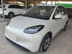 Wuling Binguo 333km Joy Edition - ფოტო 1