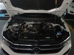 Volkswagen T-ROC Tanyue 300TSI DSG FWD Chenguang Edition - ფოტო 20