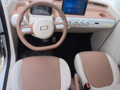 FAW Besturn Xiaoma 222km Linglong Edition - ფოტო 10