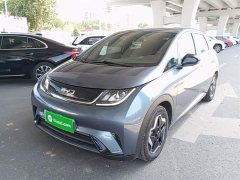 BYD Dolphin 420km Vitality Edition - ფოტო 1