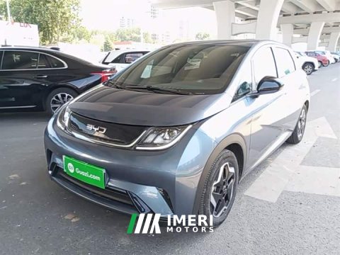 2025 BYD Dolphin 420km Vitality Edition - ავტომობილი ჩინეთიდან