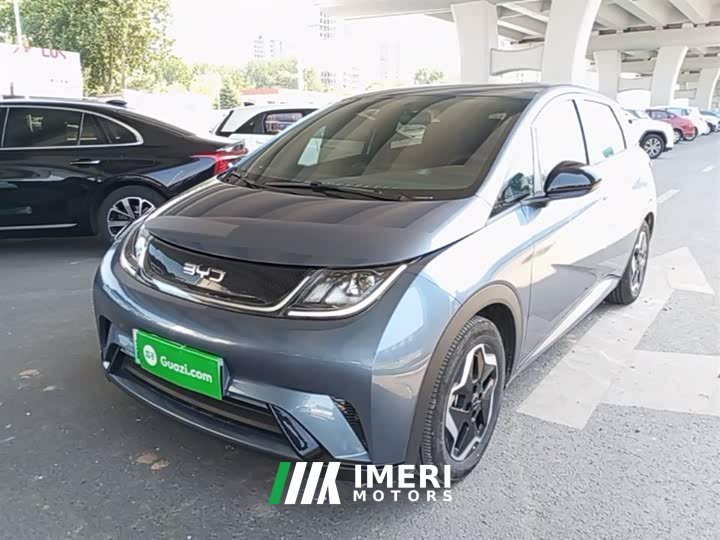 BYD Dolphin 420km Vitality Edition