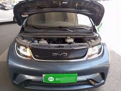 BYD Dolphin 420km Vitality Edition - ფოტო 20