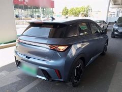 BYD Dolphin 420km Vitality Edition - ფოტო 7