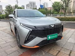 Chery Kunlun 300 Plateau Edition - ფოტო 4