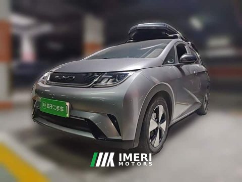 2024 BYD Dolphin 2023 420km Fashion Edition - ავტომობილი ჩინეთიდან