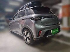 BYD Dolphin 2023 420km Fashion Edition - ფოტო 10