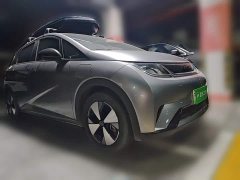 BYD Dolphin 2023 420km Fashion Edition - ფოტო 8