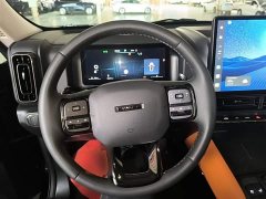 Haval H9 2024 2.0T Gasoline AWD Extreme Edition - ფოტო 11