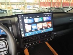 Haval H9 2024 2.0T Gasoline AWD Extreme Edition - ფოტო 13