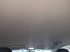 Geely Geometry A 410KM Travel Edition - ფოტო 14