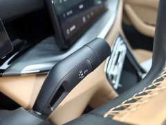 Geely Galaxy Xingyao 6 125km Explorer Edition - ფოტო 14