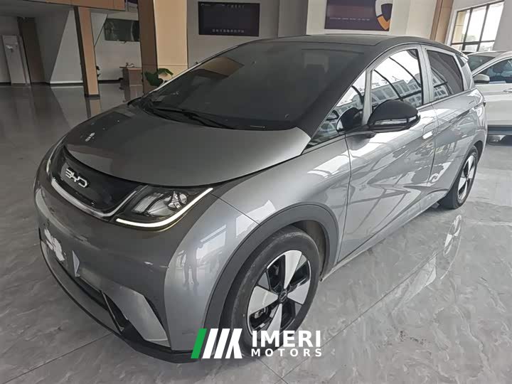 BYD Dolphin 420km Fashion Edition