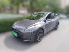 Tesla Model Y Long Range All-Wheel Drive - ფოტო 1