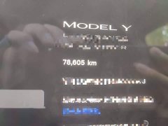Tesla Model Y Long Range All-Wheel Drive - ფოტო 5