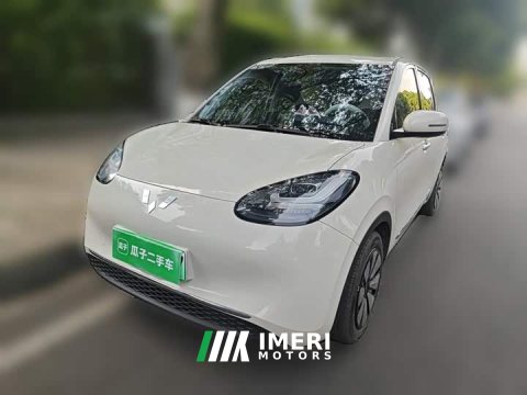 2023 Wuling Binguo 203km Comfort Edition - ავტომობილი ჩინეთიდან