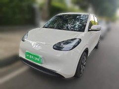 Wuling Binguo 203km Comfort Edition - ფოტო 2