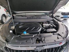 Changan Oushang X5 1.5T DCT Luxury - ფოტო 20