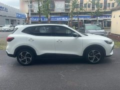 SAIC MG Hector 300TGI Automatic Two-Wheel Drive Trophy Prestige Edition - фото 4