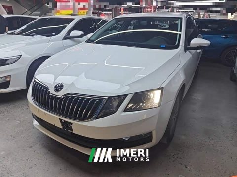 2022 Skoda Octavia 1.5L Automatic Comfort Edition - ავტომობილი ჩინეთიდან