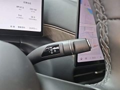 Great Wall WEY Shanshan New Energy Four-Wheel Drive Shanshan 8 - ფოტო 10