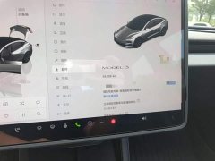 Tesla Model 3 Rear-Wheel Drive - ფოტო 12